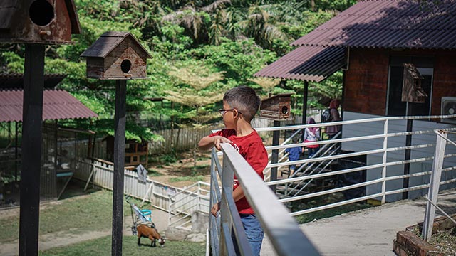 G2G animal garden - school holiday activities in Malaysia