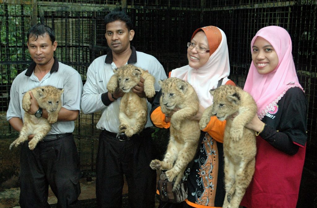 zoo taiping - top zoos in Malaysia