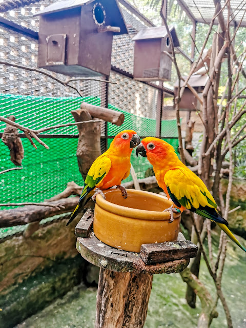 KL Tower Mini Zoo - Top zoos in Malaysia