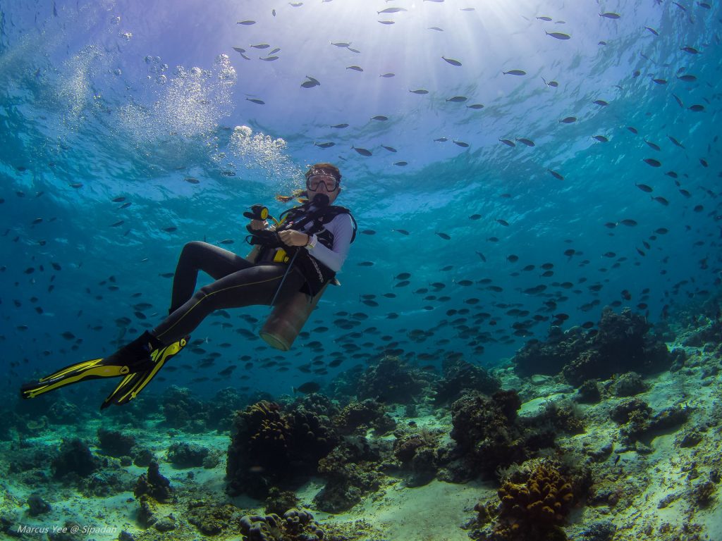tioman island  - best diving spots in Malaysia