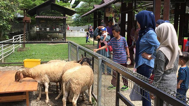 G2G animal garden - school holiday activities in Malaysia
