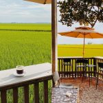 hay cafe sekinchan