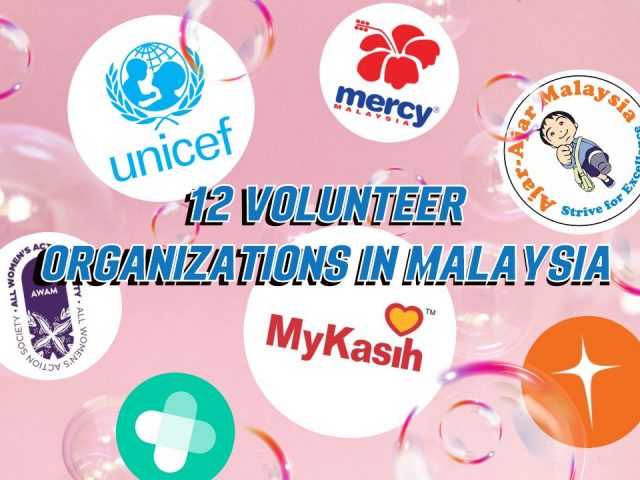 volunteer organizations in malaysia