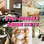 5 Pet-Friendly Airbnb Stays in Malaysia