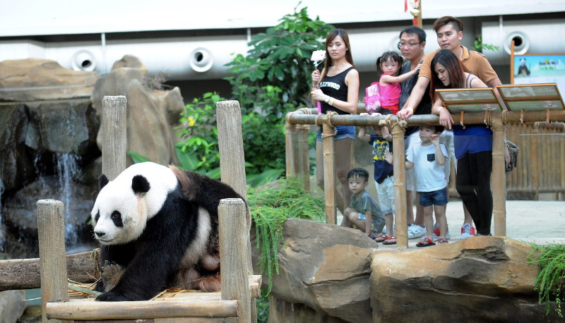 top zoos in malaysia - zoo negara