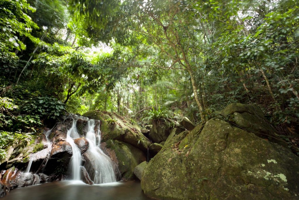 tioman island - best diving spots in Malaysia