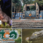 zoo teruntum kuantan