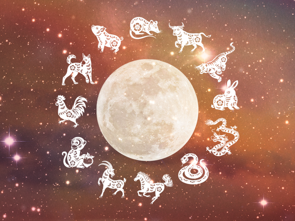 Chinese astrology personality traits