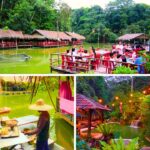 latest floating restaurant fi