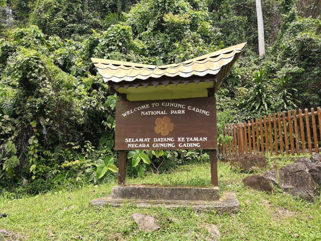 Gunung Gading National Park - attractions in Sarawak