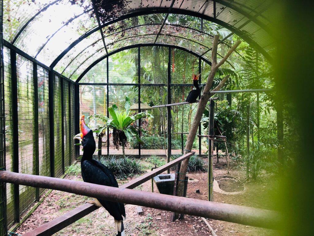 Taman Tumbina Zoo