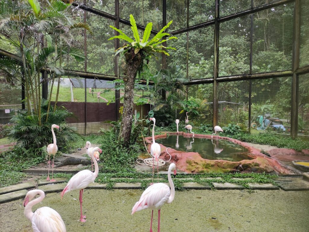 Taman Tumbina Zoo