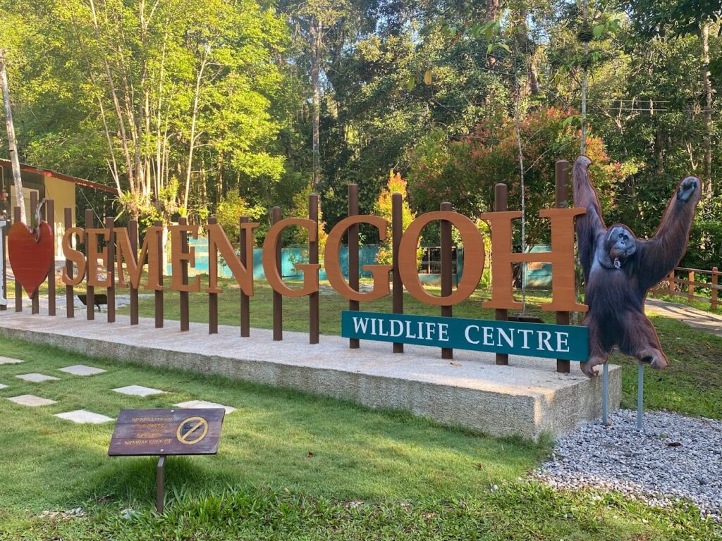 semenggoh nature reserve