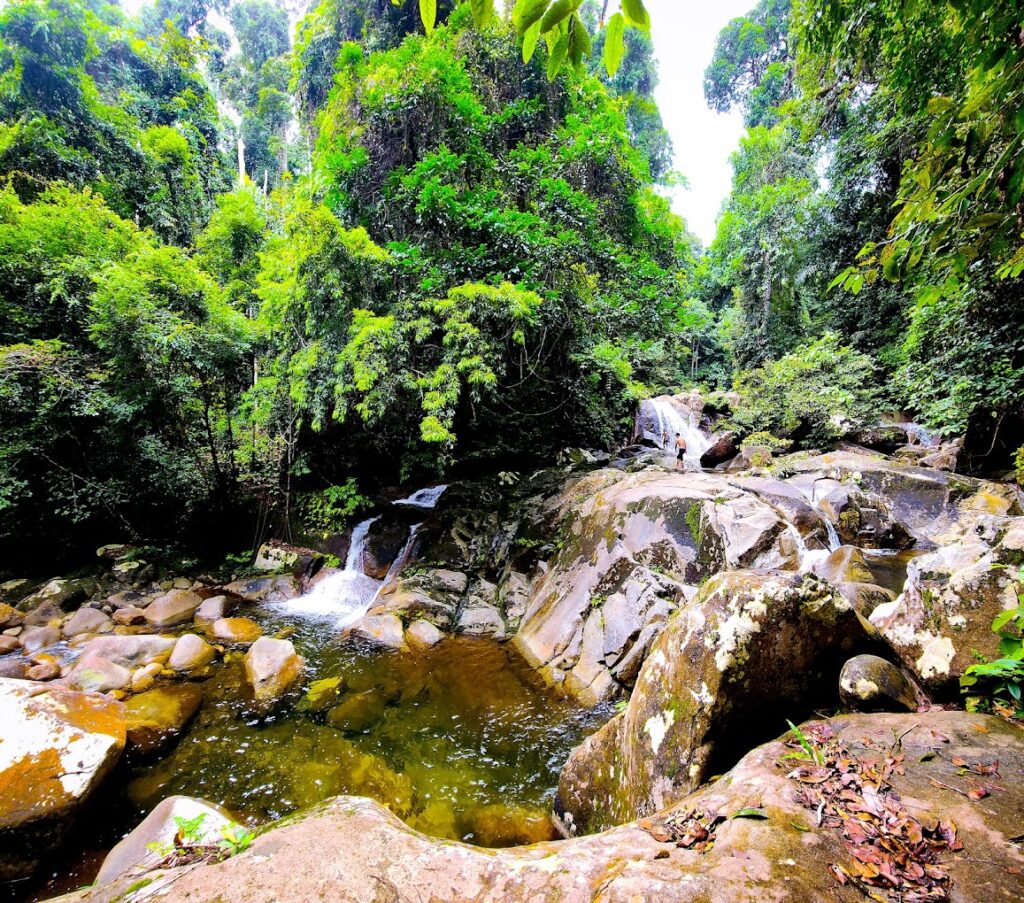 Gunung Gading National Park- attractions in Sarawak
