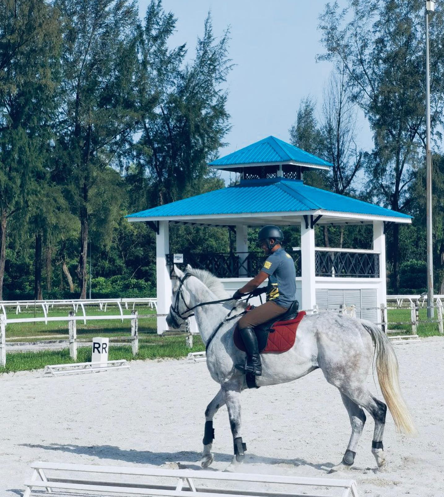 7 Horse Riding Spots in KL and Selangor