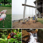 attractions in sarawak 2023 fi