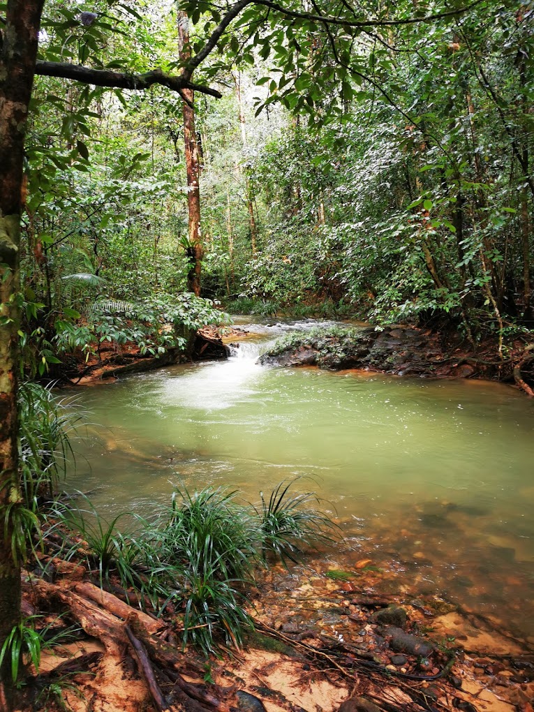 kubah national park- attractions in Sarawak