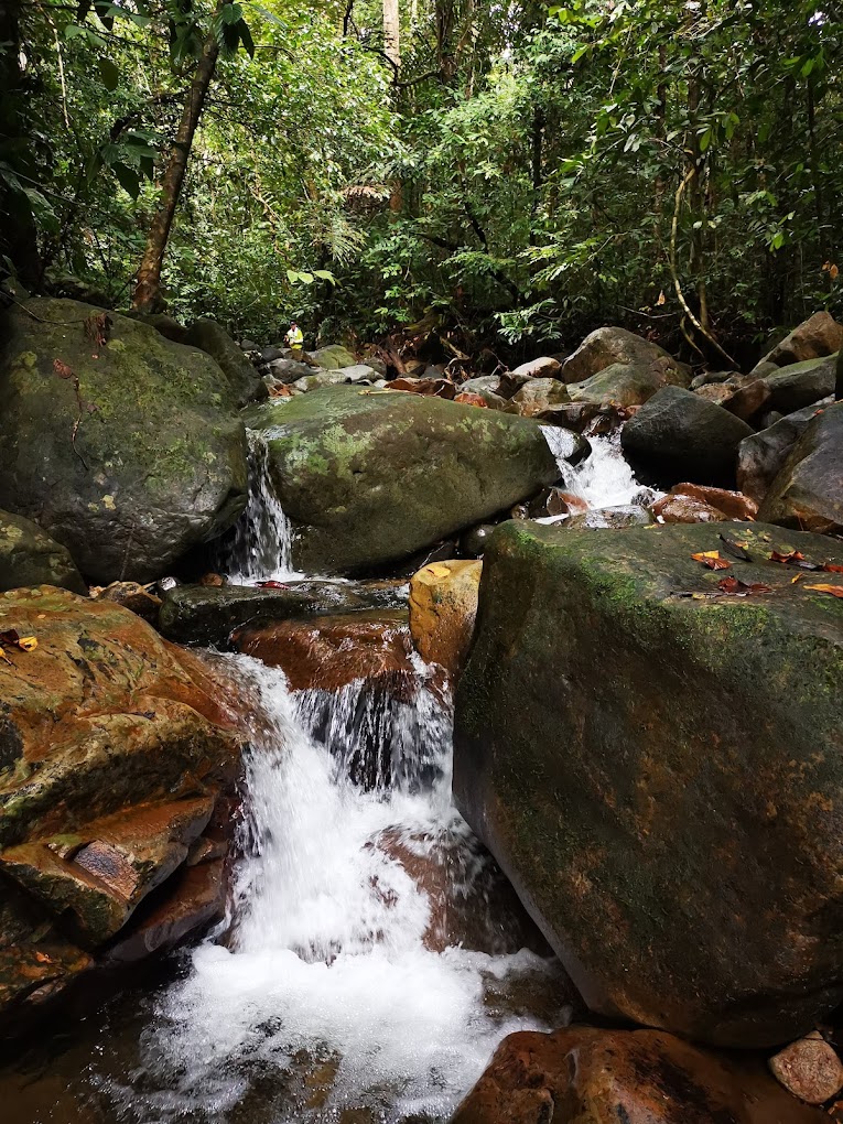 kubah national park- attractions in Sarawak