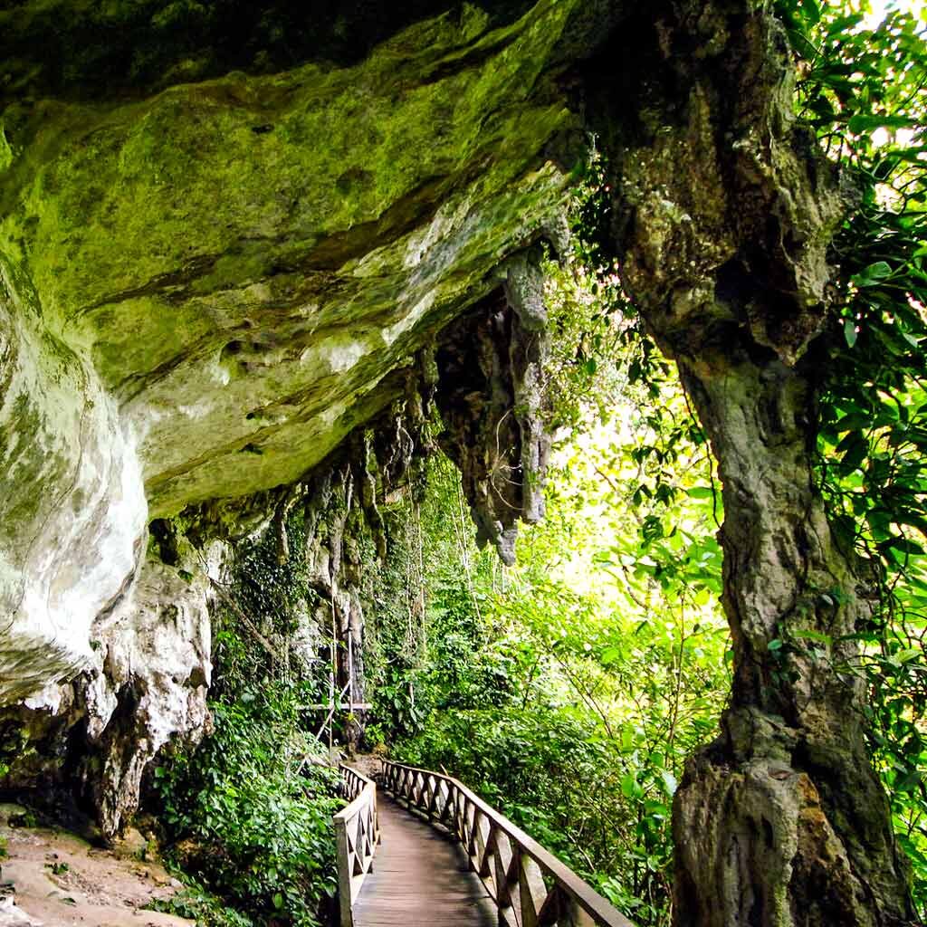niah national park - attractions in Sarawak