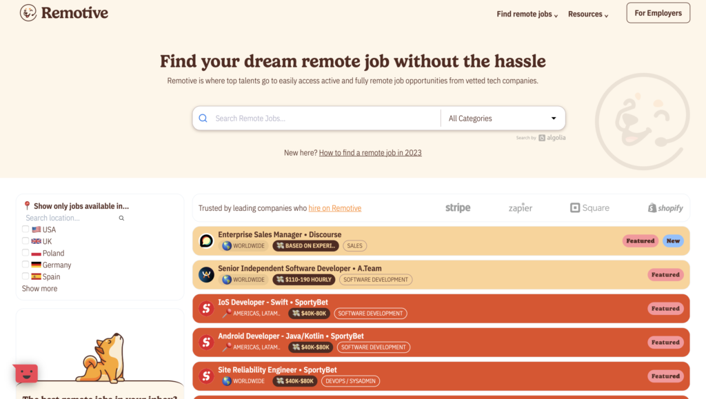 remove.io - remote work