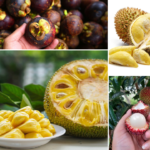 malaysian fruits