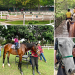 horse riding kl