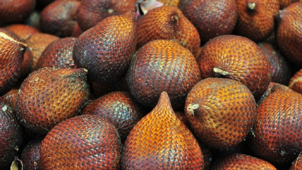 Snake Fruit (Salak)