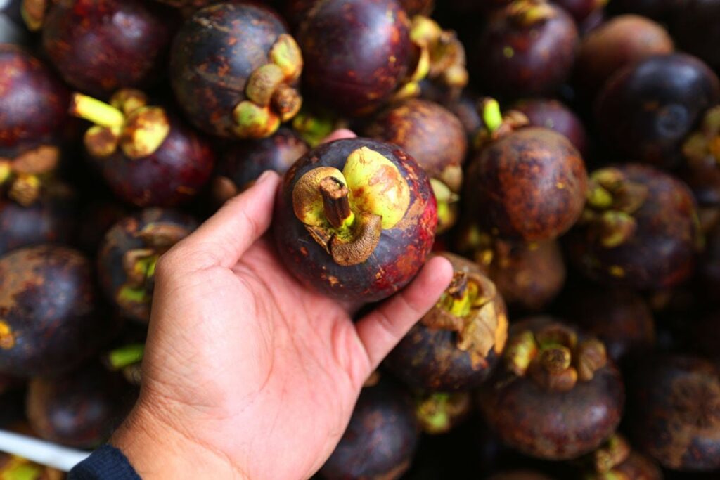 malaysian fruits