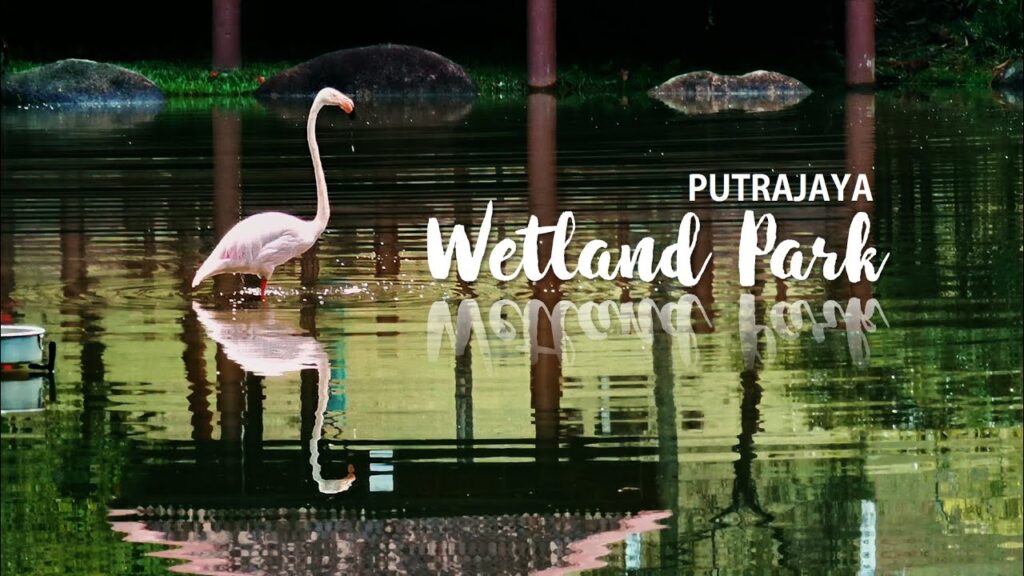 putrajaya wetlands park
