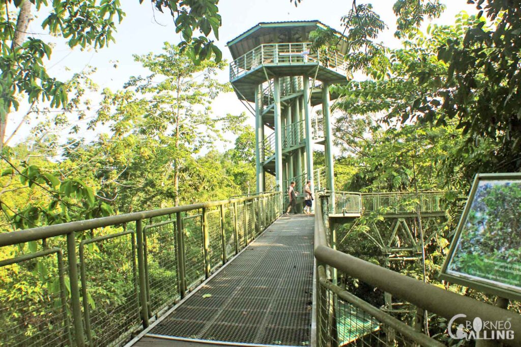 Rainforest Discovery Centre Sabah - activities for holiday