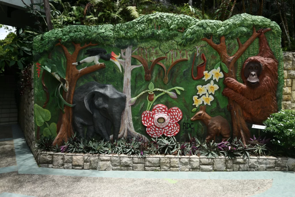 Rainforest Discovery Centre Sabah- activities for holiday