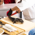 pufferfish poisoning