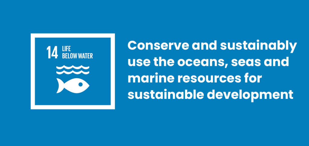 Achieving Sustainable Development Goal 14: Life Below Water