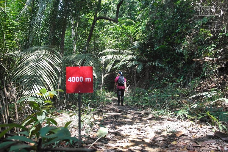 Hutan Simpan Ayer Hitam-hiking 