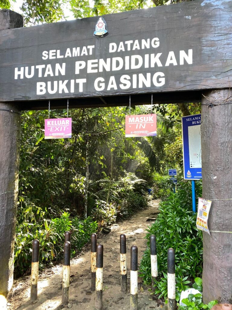 Hutan Pendidikan Bukit Gasing-jungle trekking in Malaysia 