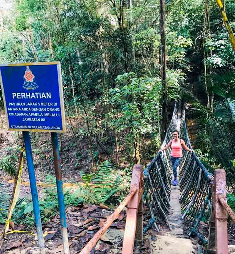 Hutan Pendidikan Bukit Gasing