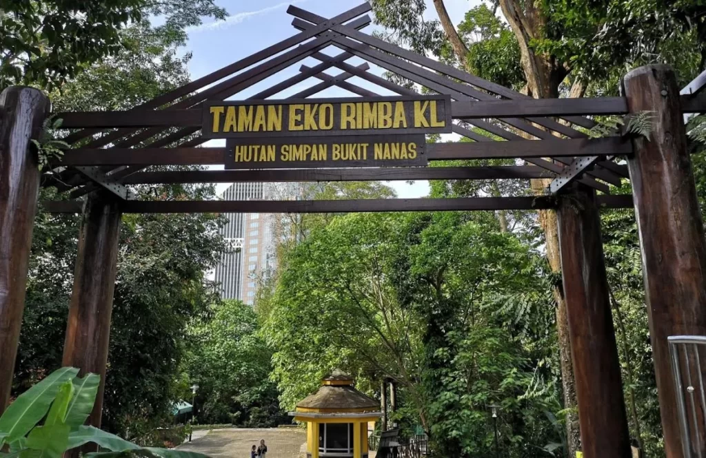 jungle trekking in malaysia-KL Eco Park 