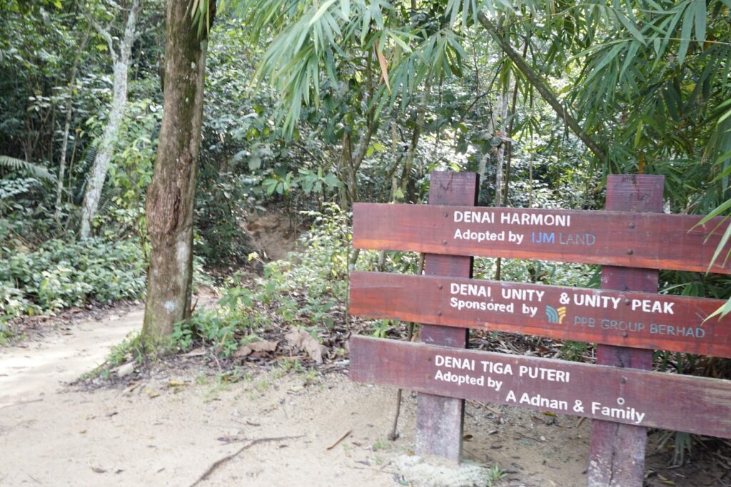 jungle trekking in malaysia-hutan simpan kota damansara - exterior 
