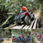 atv in malaysia