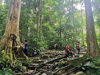 Gunung Nuang Recreational Forest-jungle trekking