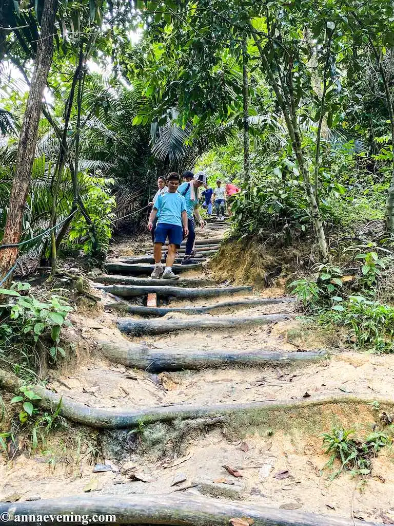 jungle trekking in malaysia-Ketumbar Hill staircase
