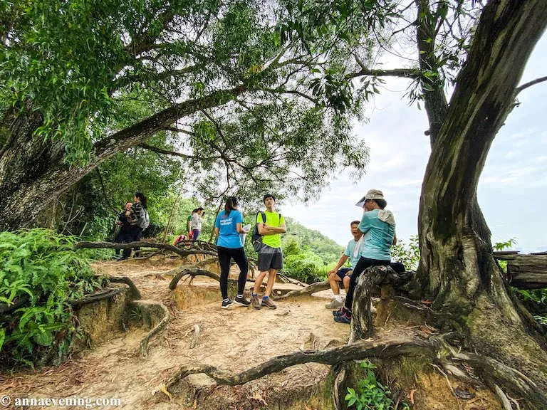 jungle trekking in malaysia-Ketumbar Hill interior 