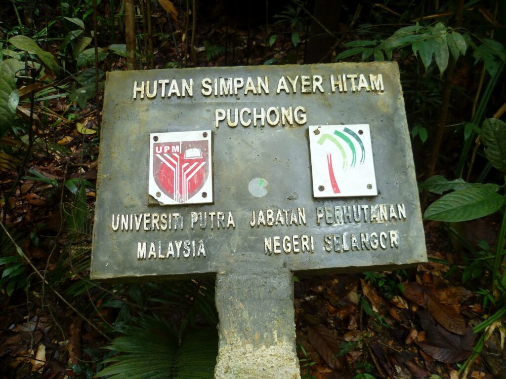 Hutan Simpan Ayer Hitam