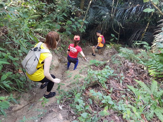 jungle trekking in malaysia-hutan simpan kota damansara - jungle trekking