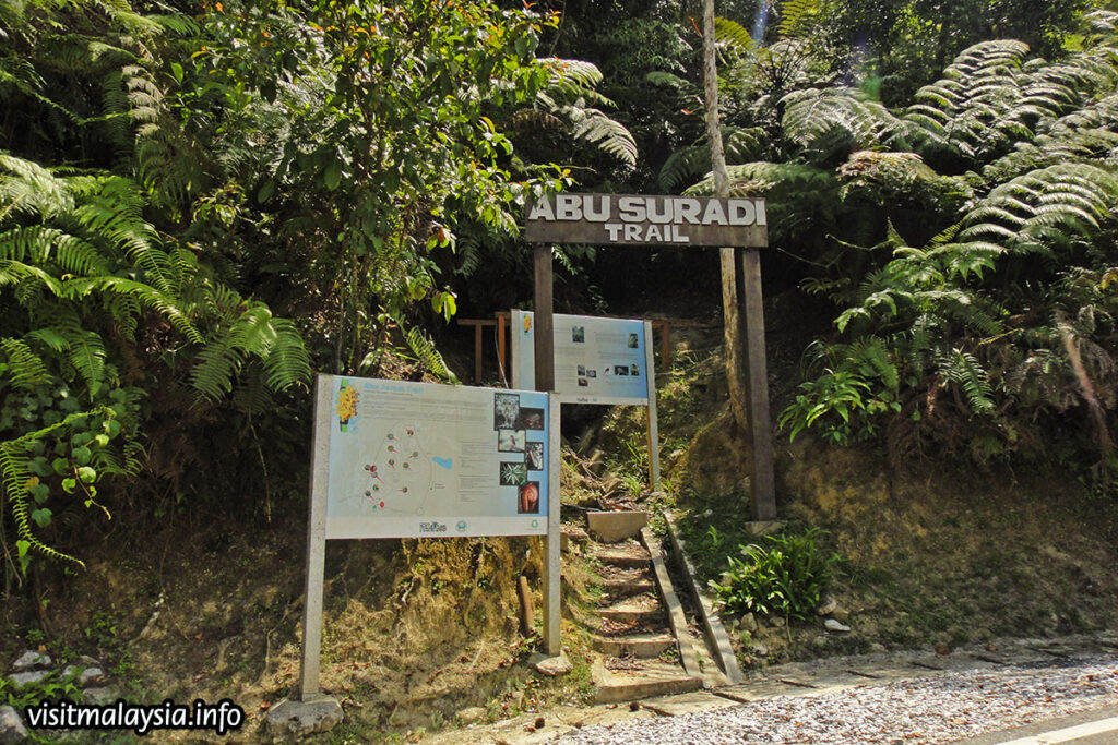 Abu Suradi Trail in Fraser's Hill, Pahang