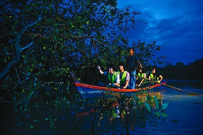 visit the flock of fireflies, malaysia natural attractions in kuala selangor