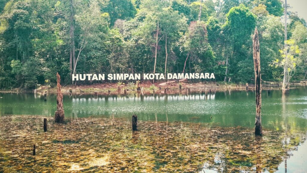jungle trekking in malaysia-hutan simpan kota damansara
