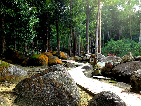 Hutan Lipur Ulu Bendul -interior