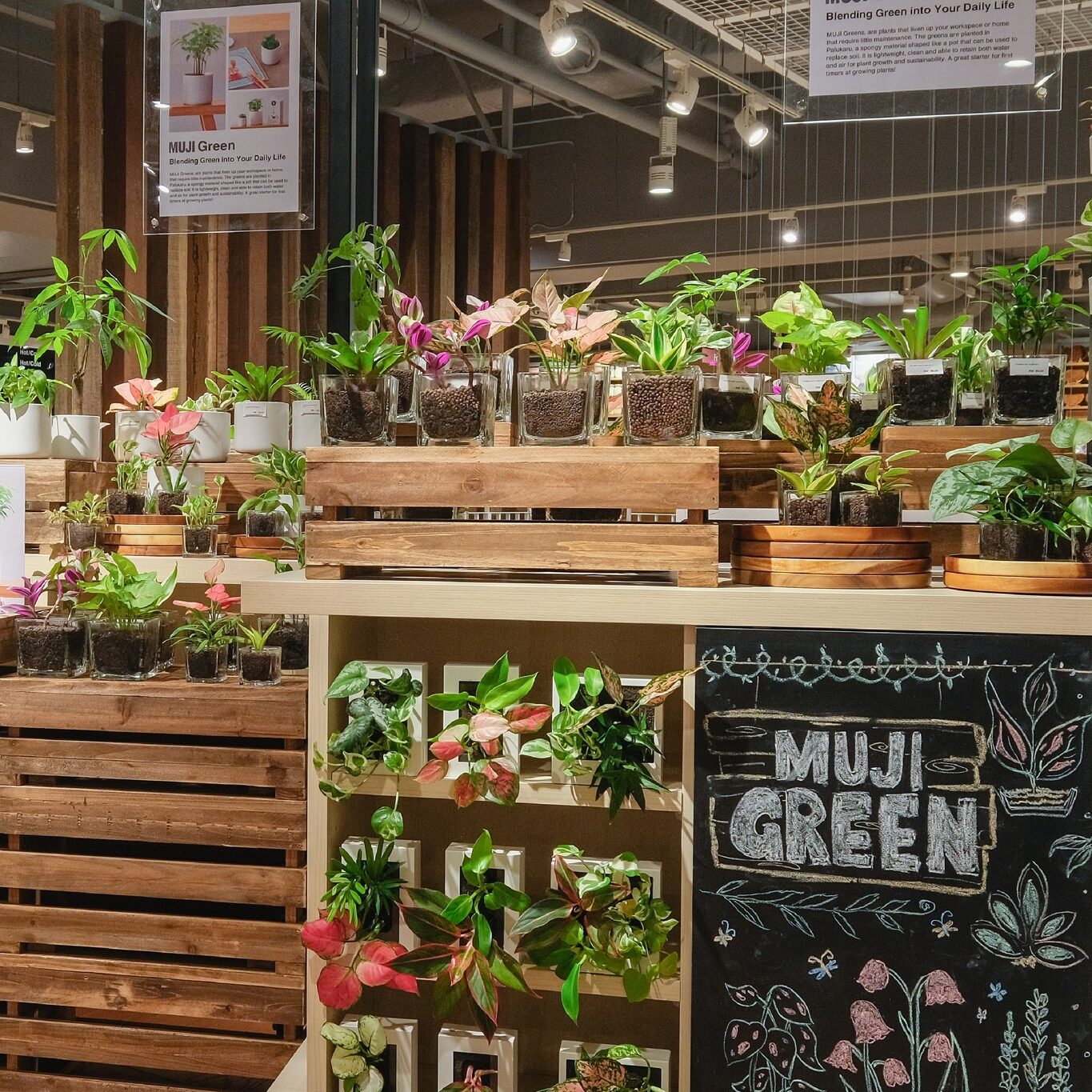 MUJI Green Plant Section