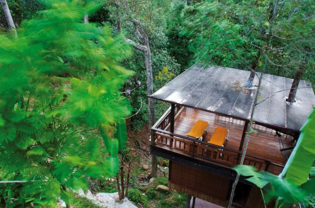 surround yourself with durian tree and nature at this airbnb stay